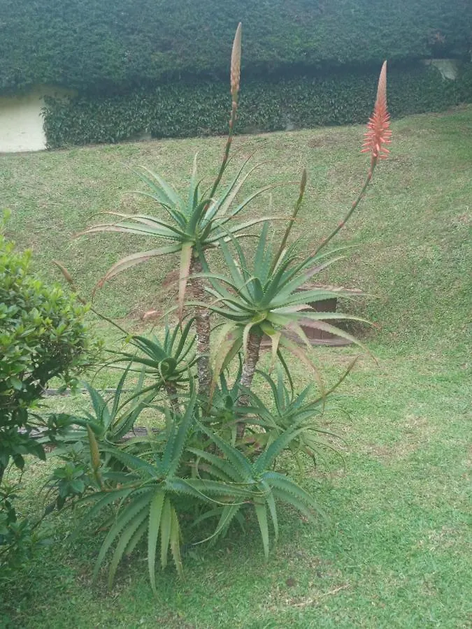 Pousada Campos Sonho Meu Campos do Jordão